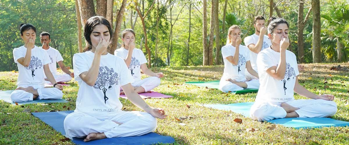 yoga-and-ayurveda-tour-in-kerala 