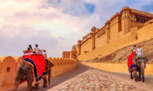 Jaipur Amer Fort, Jal Mahal & Stepwell: Half-Day Tour