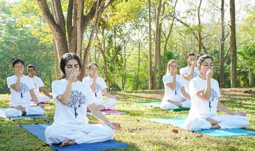 Yoga and Ayurveda tour in Kerala